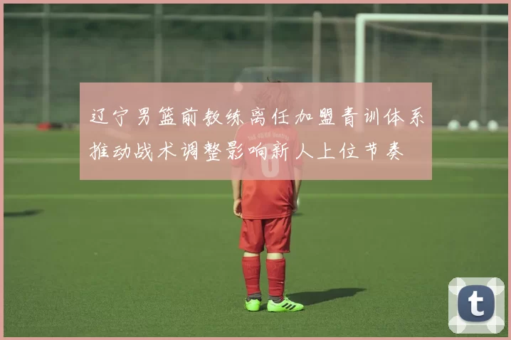 辽宁男篮前教练离任加盟青训体系推动战术调整影响新人上位节奏