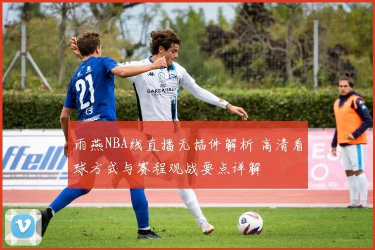 雨燕NBA线直播无插件解析 高清看球方式与赛程观战要点详解
