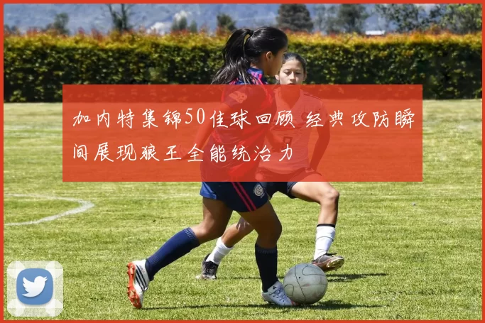 加内特集锦50佳球回顾 经典攻防瞬间展现狼王全能统治力