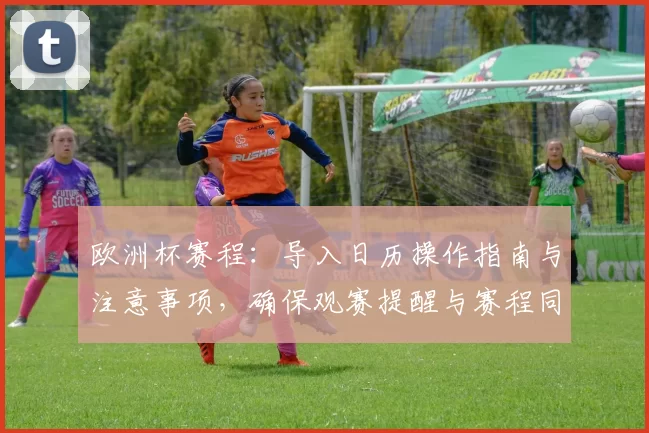 欧洲杯赛程:导入日历操作指南与注意事项,确保观赛提醒与赛程同步