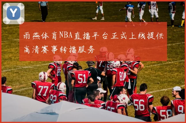 雨燕体育NBA直播平台正式上线提供高清赛事转播服务
